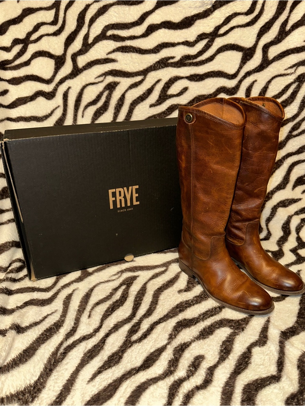 Frye Women's Tall Leather Melissa Button Riding Boots in Cognac Brown
